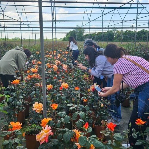 Workshop Coplant Academy con Rosanna Castrini (10)