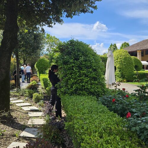Workshop Coplant Academy con Rosanna Castrini (12)