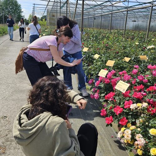 Workshop Coplant Academy con Rosanna Castrini (14)