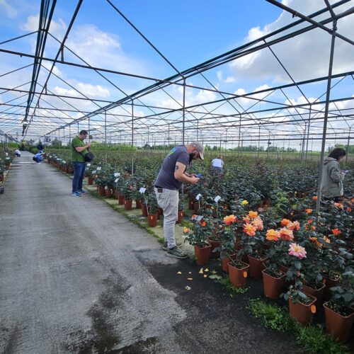 Workshop Coplant Academy con Rosanna Castrini (2)
