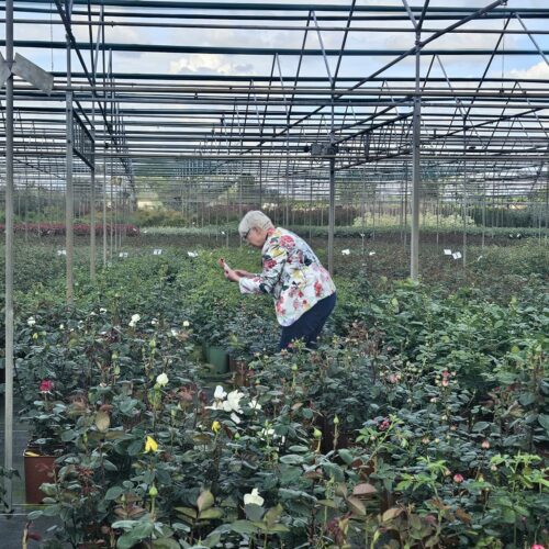 Workshop Coplant Academy con Rosanna Castrini (3)
