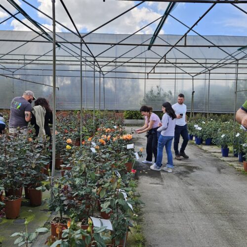 Workshop Coplant Academy con Rosanna Castrini (4)