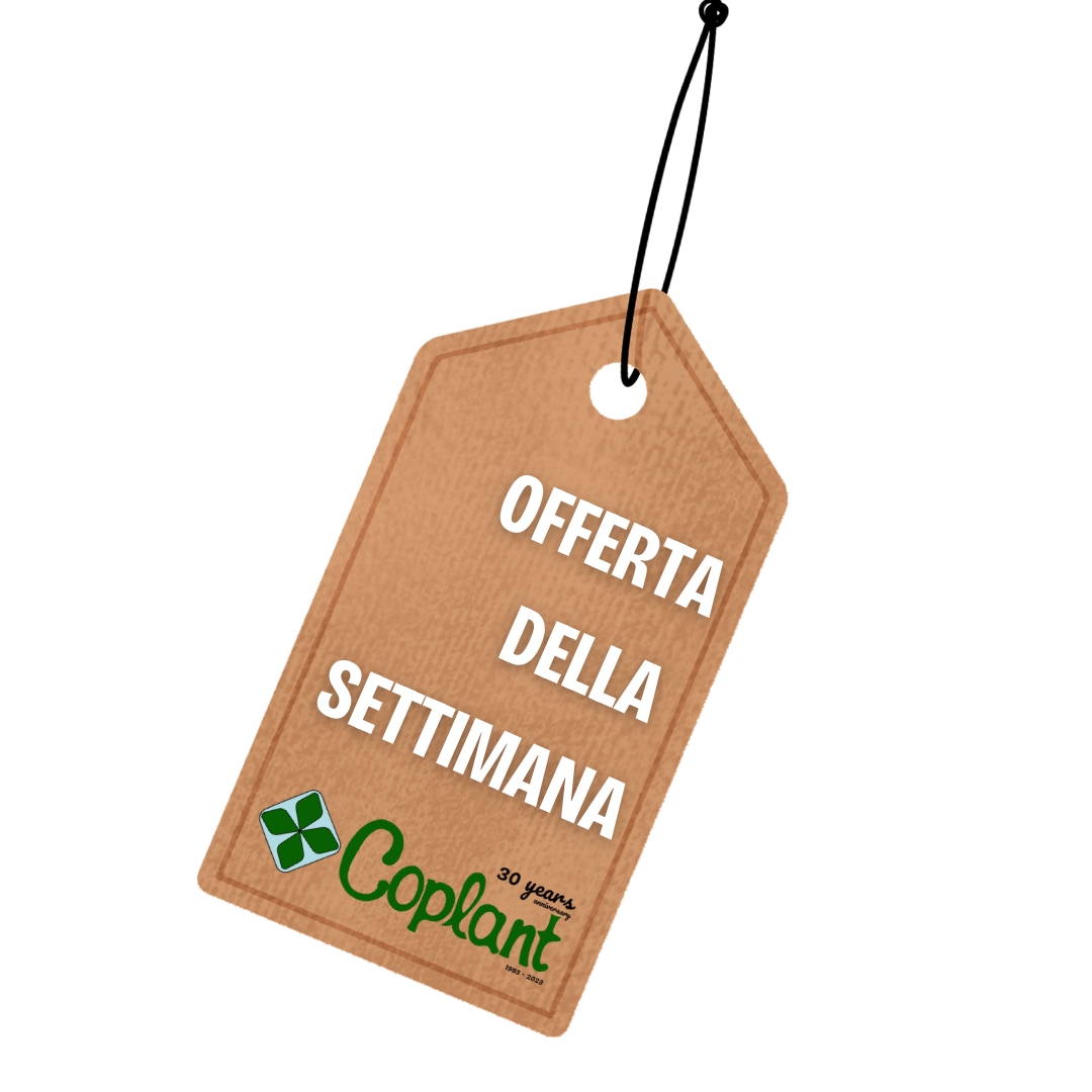 OFFERTA DELLA SETTIMANA