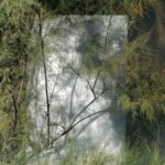 Spazio Coplant “Evanescenze” Orticolario 2025