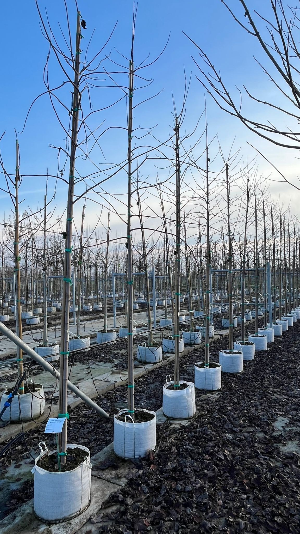 ACER.FR_.AB_.V1_4838