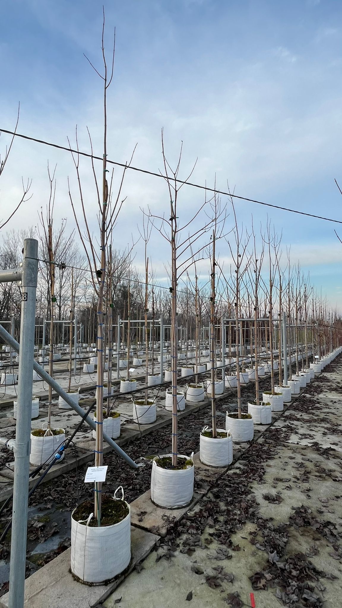 ACER.FR_.AR_.V1_4866