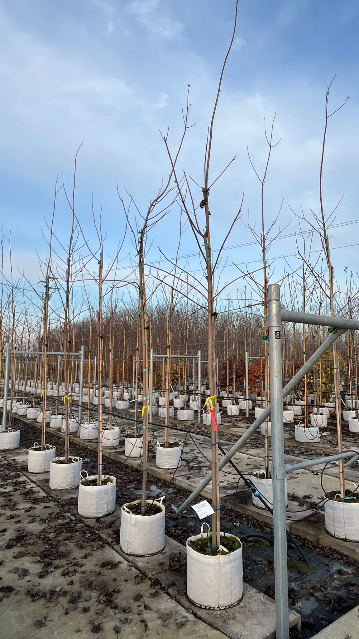 ACER.FR_.JE_.V1_4834