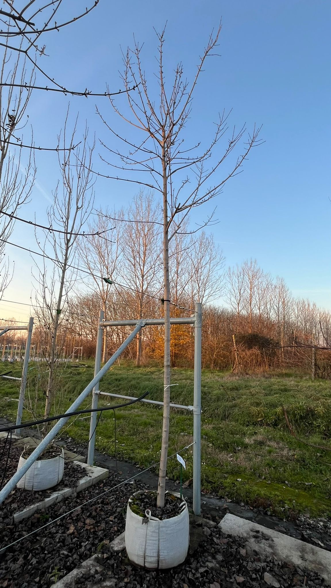 ACER.FR_.JE_.V5_4833