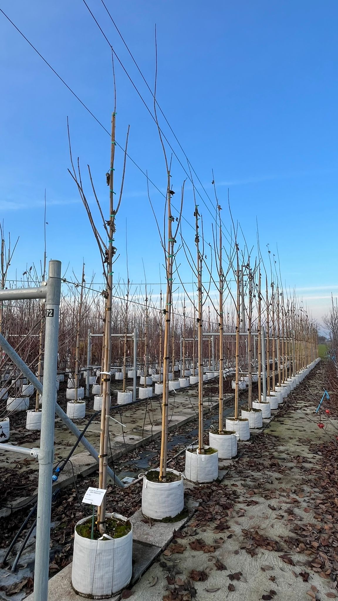 ACER.PL_.DR_.V1_4847