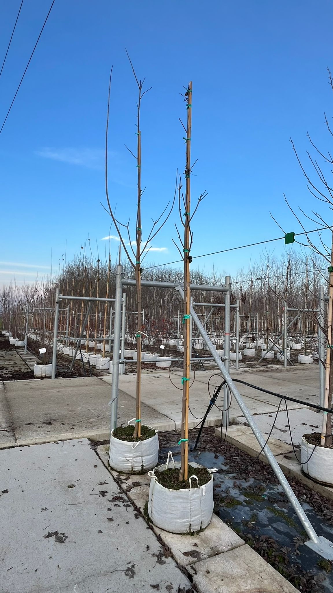 ACER.PL_.RO_.V1_4848