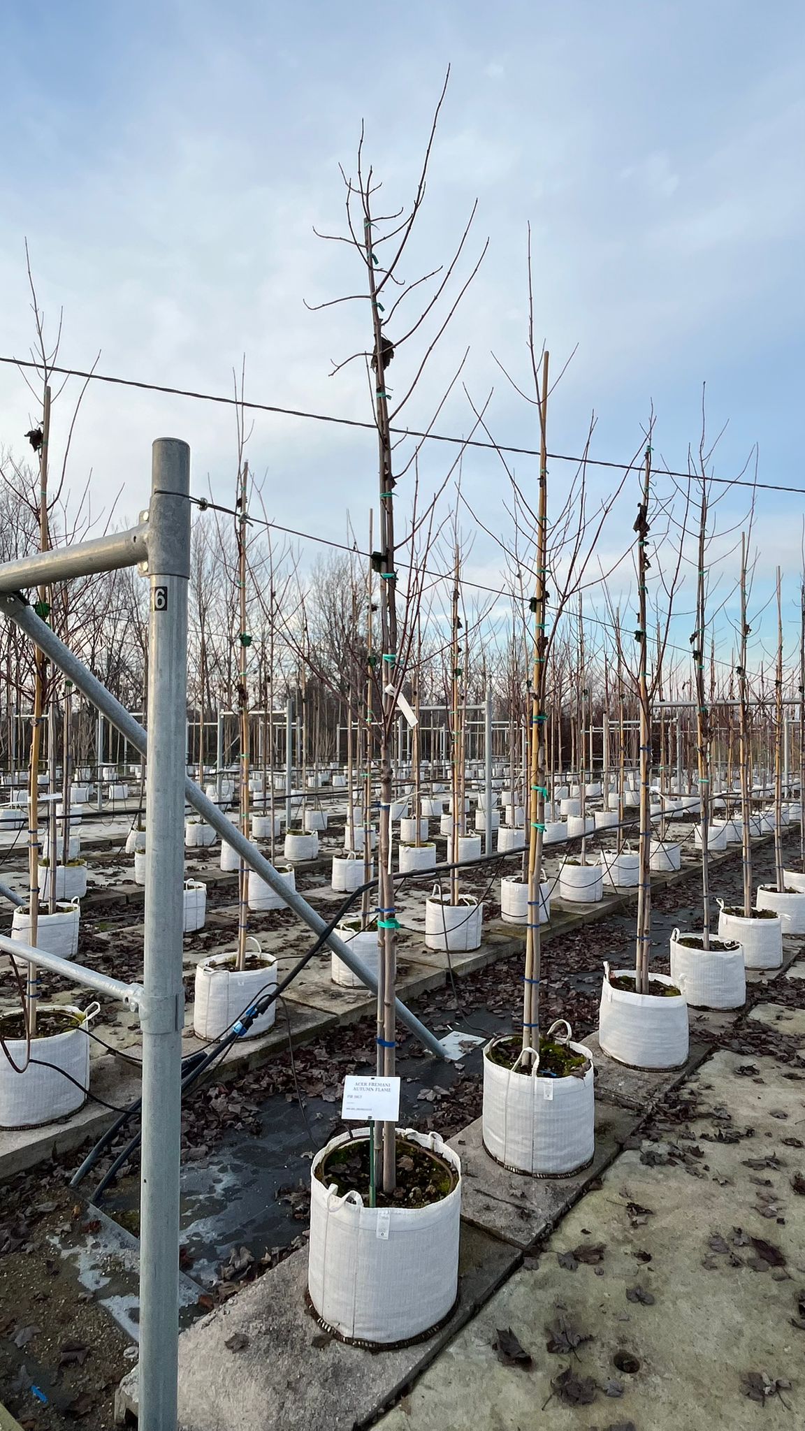 ACER.RU_.AF_.V1_4865