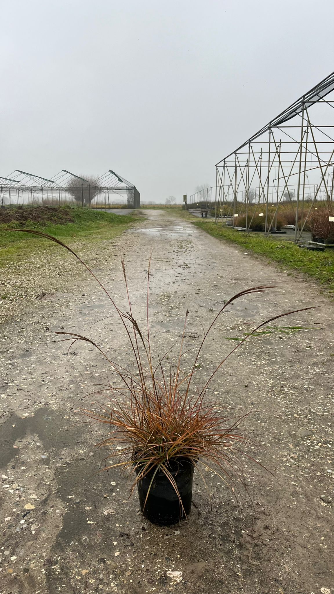 MISC.SI_.AD_.B2_4934