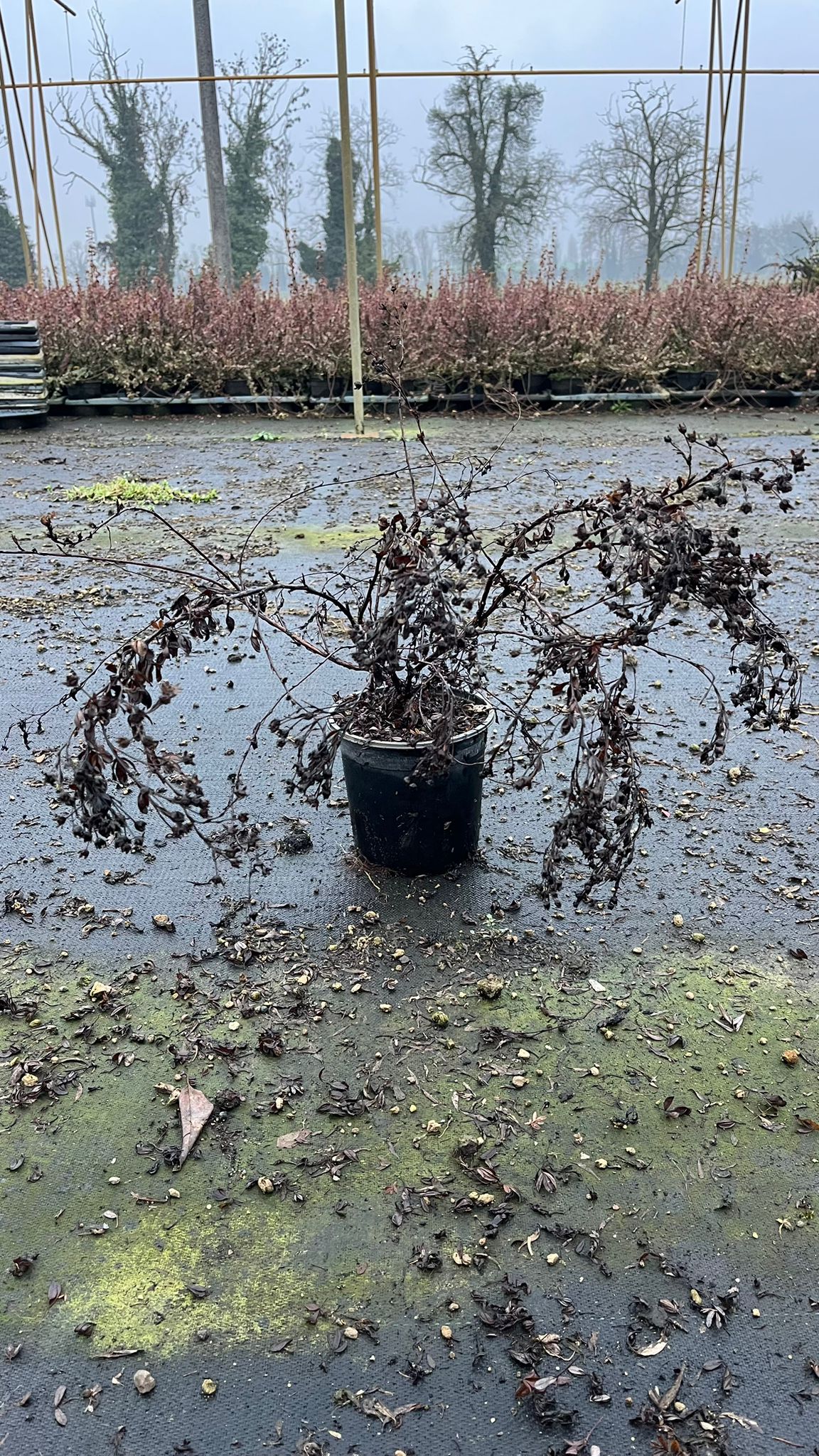 POTE.FR_.AB_.B2_4918