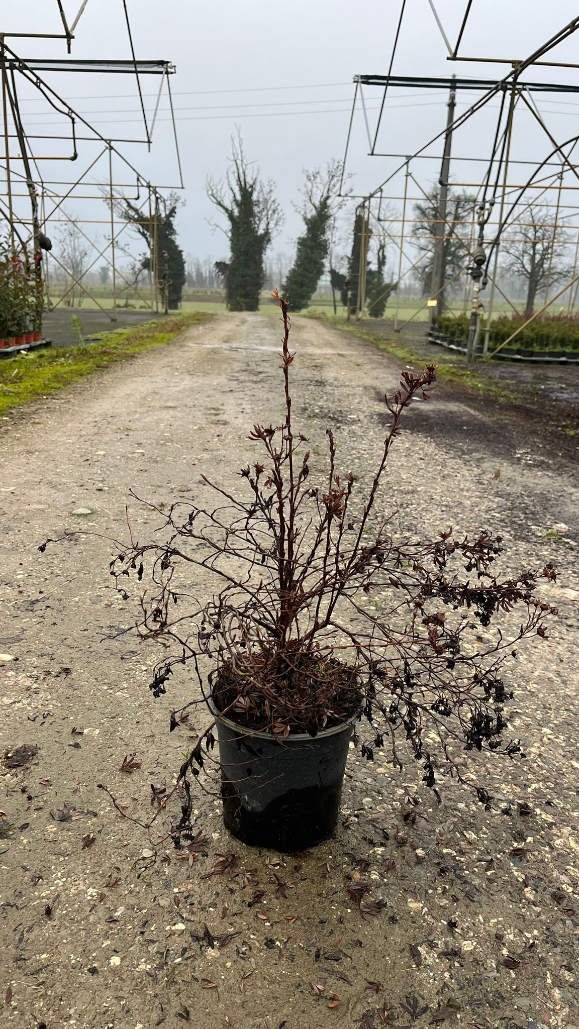 POTE.FR_.GF_.B2_4914