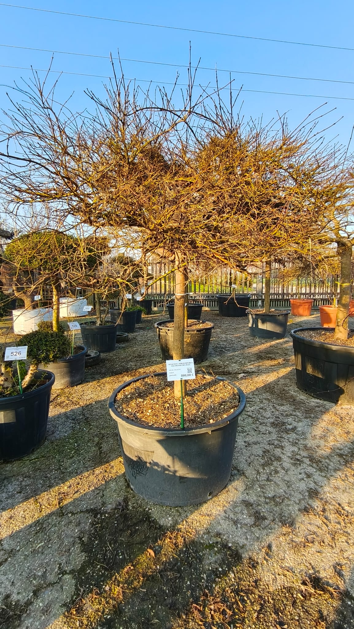 ACER.DI_.AT_.V7_4962