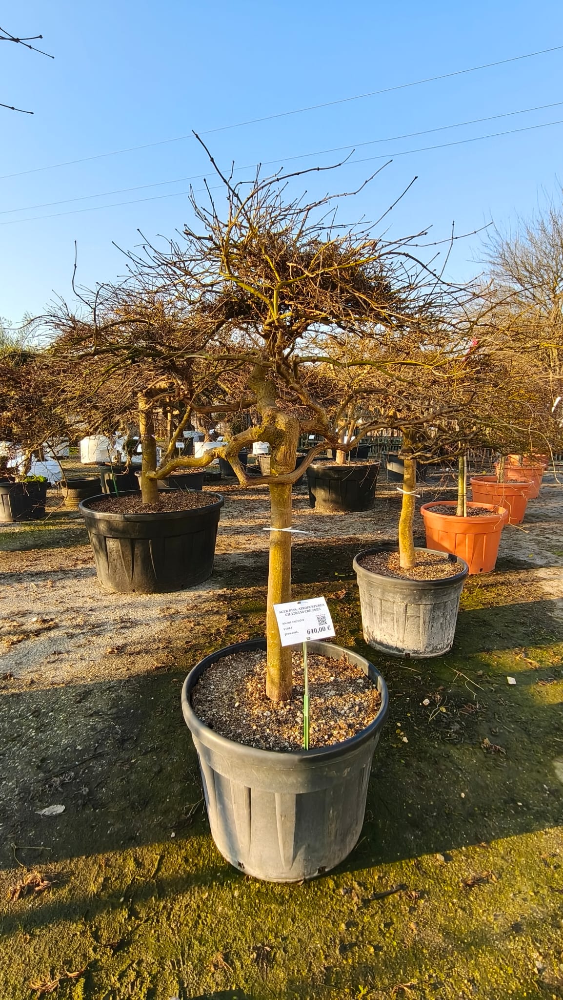 ACER.DI_.AT_.V7_4963