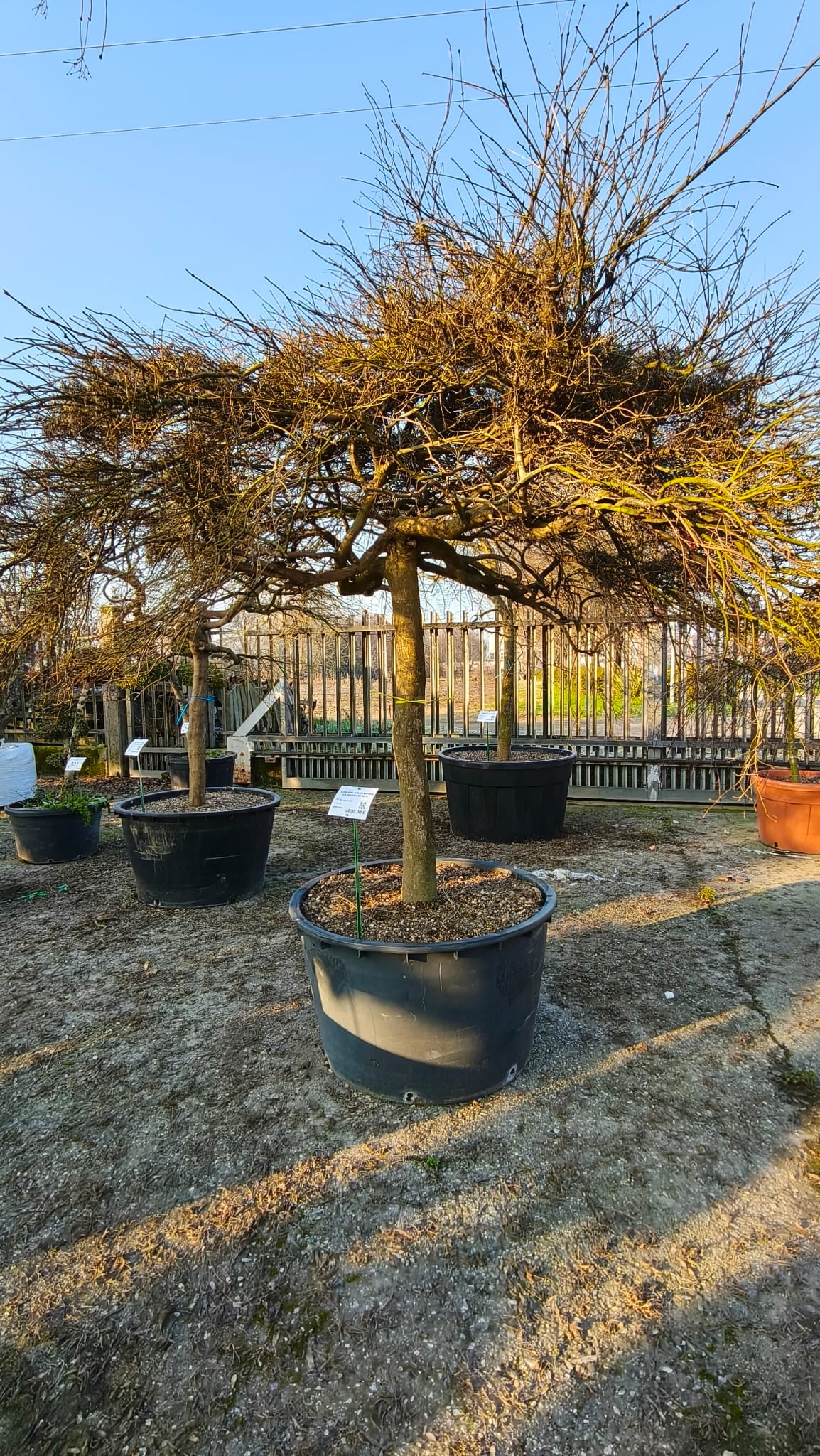 ACER.DI_.AT_.V9-_4966