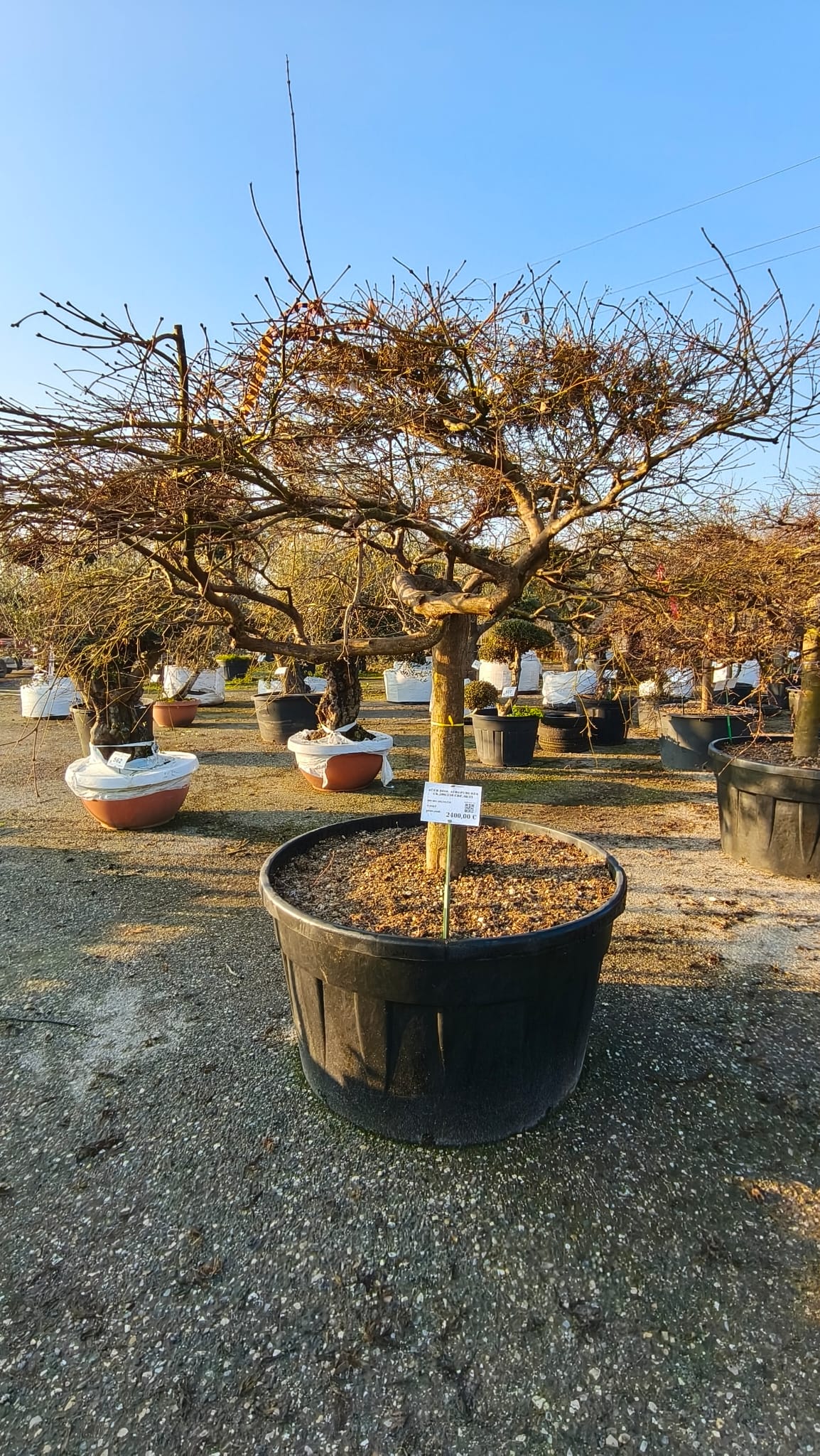 ACER.DI_.AT_.V9_4965