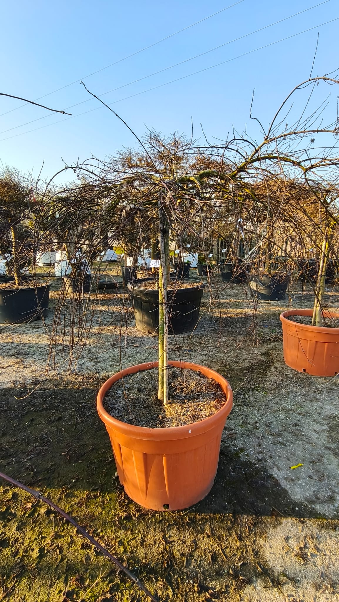 ACER.DI_.EL_.V5_4967