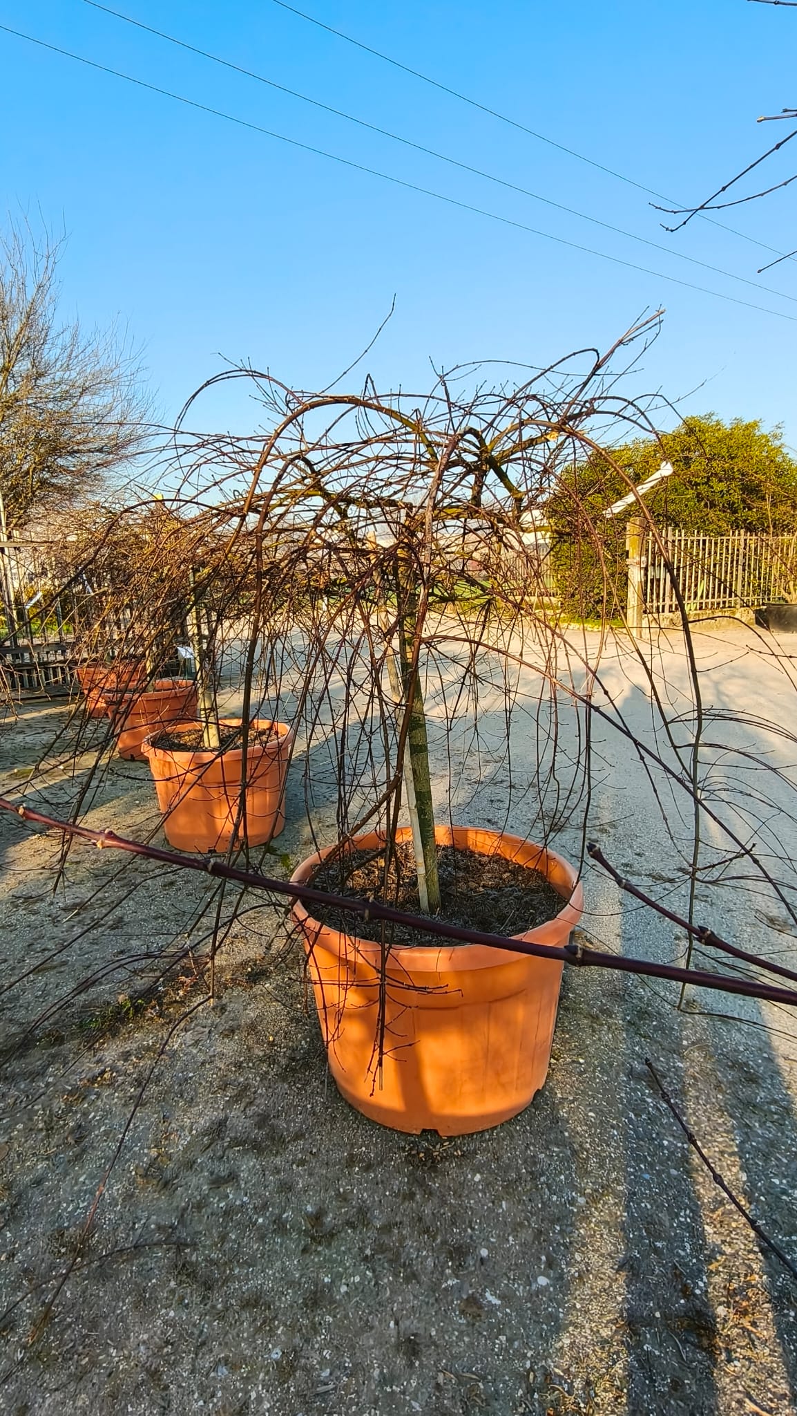 ACER.DI_.EL_.V5_4968