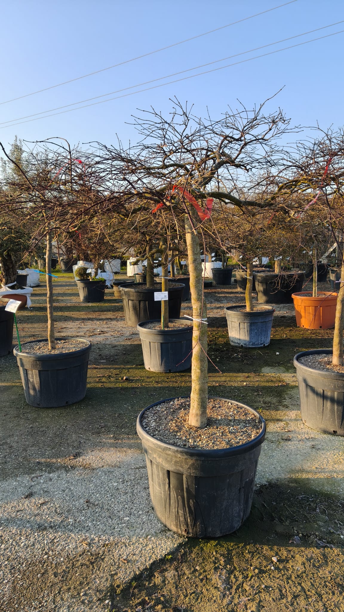 ACER.DI_.IS_.V7_4975