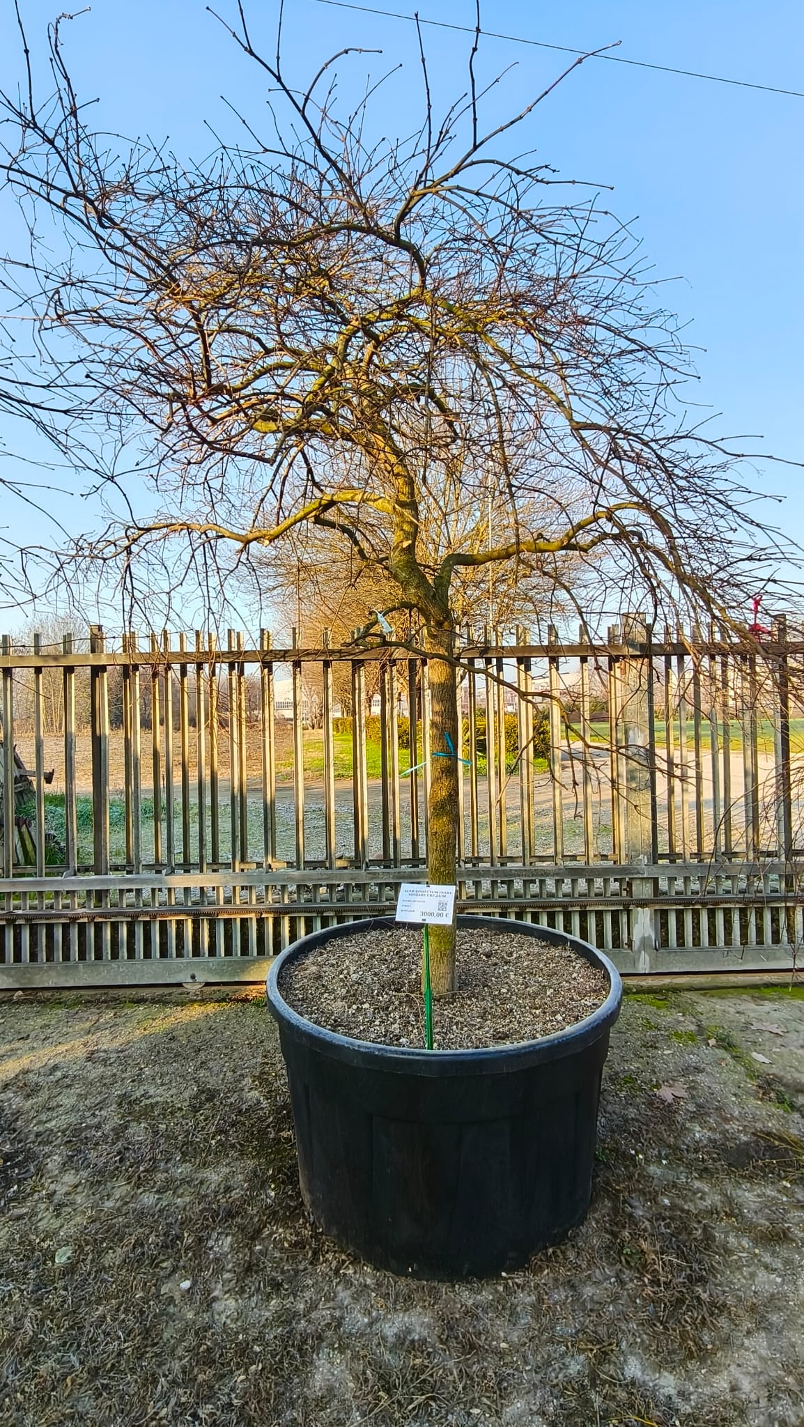 ACER.DI_.IS_.V8_4976