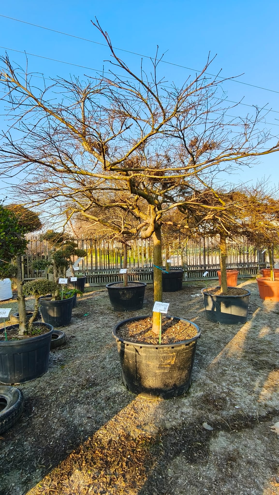 ACER.DI_.VI_.V8_4969