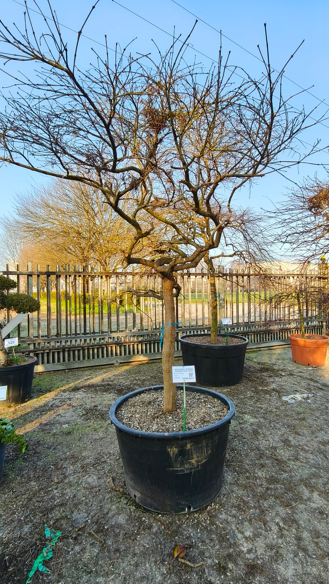 ACER.DI_.VI_.V8_4970