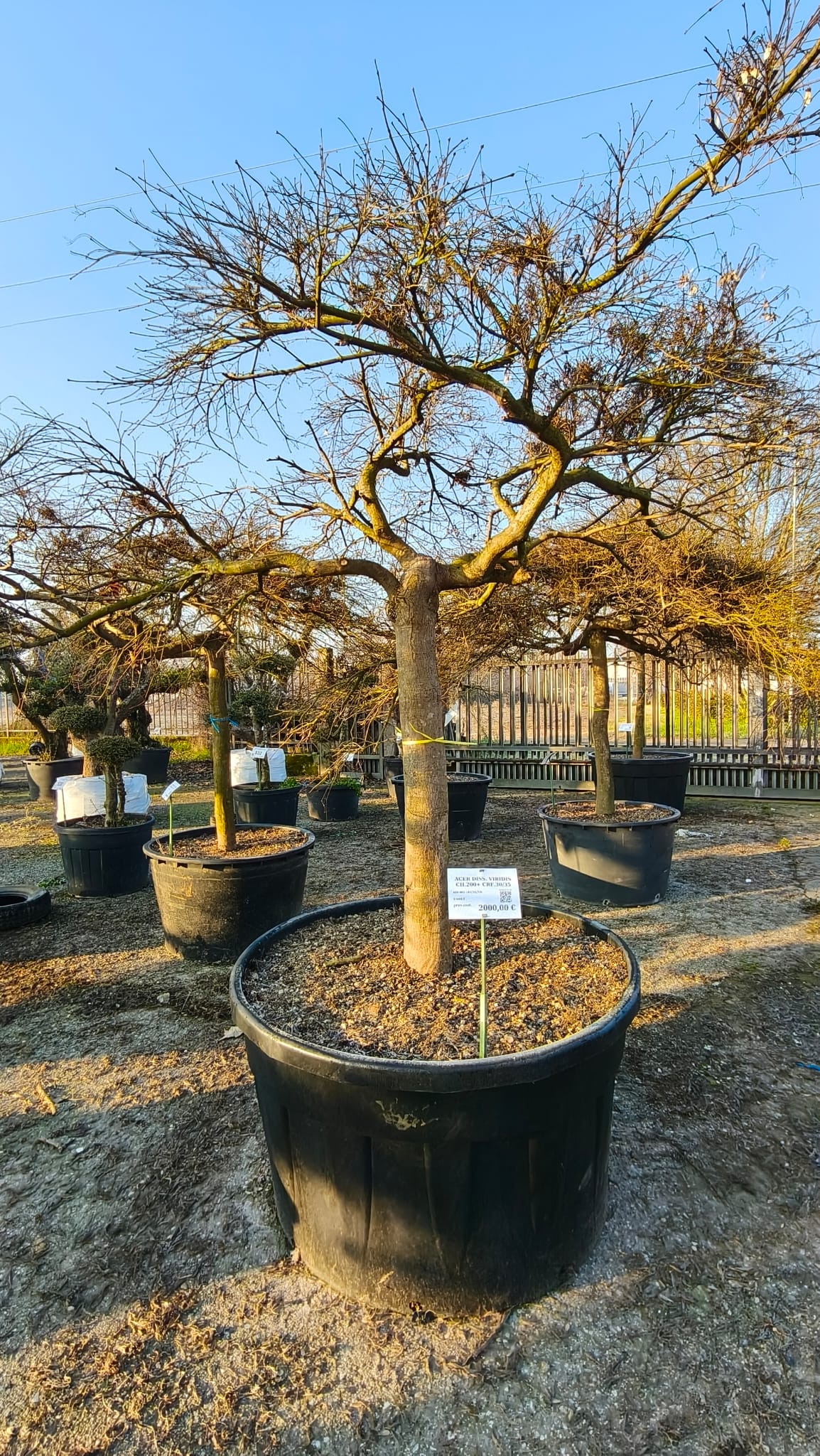 ACER.DI_.VI_.V9_4971