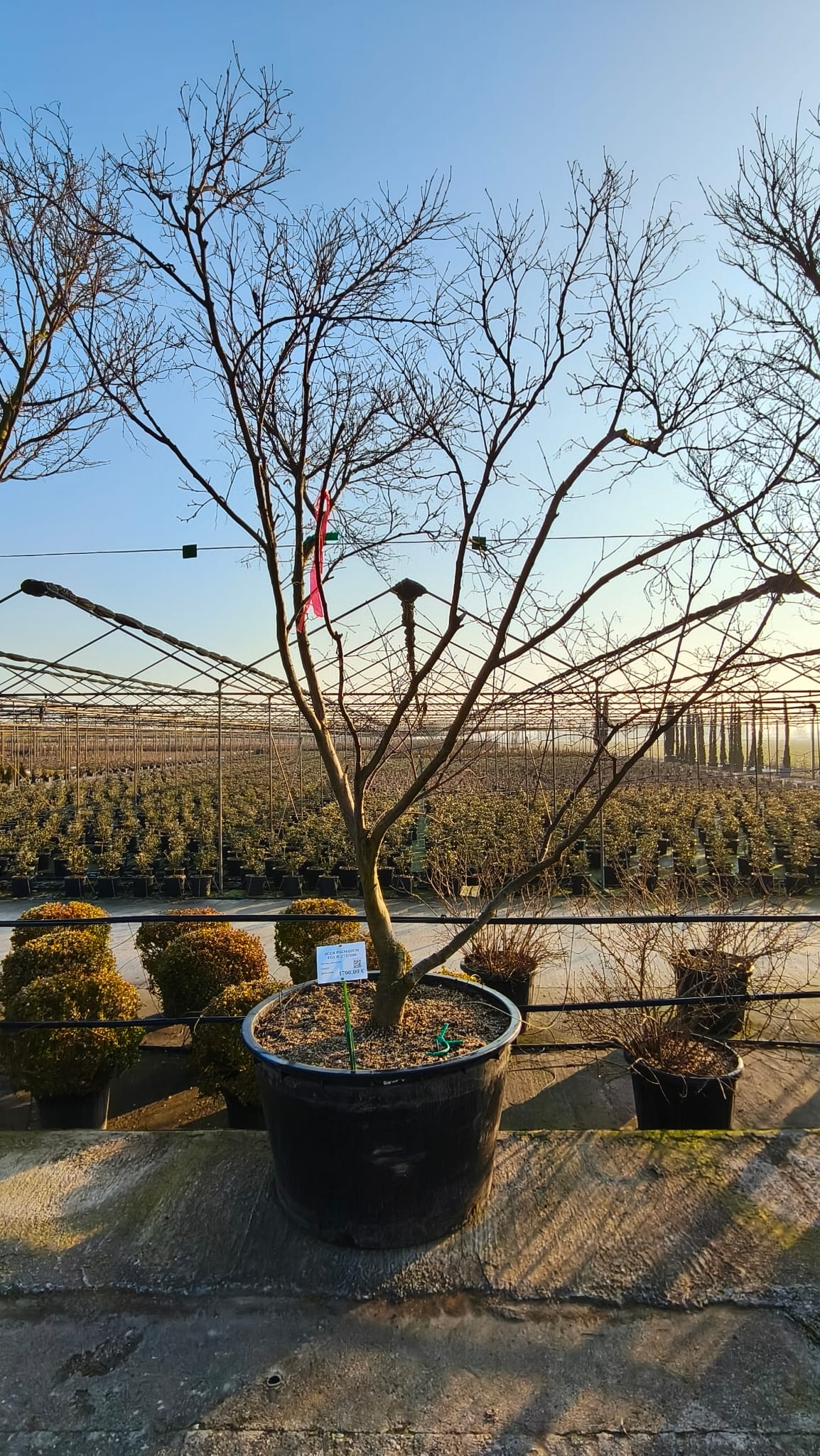 ACER.PA_.FG_.VC3_4993