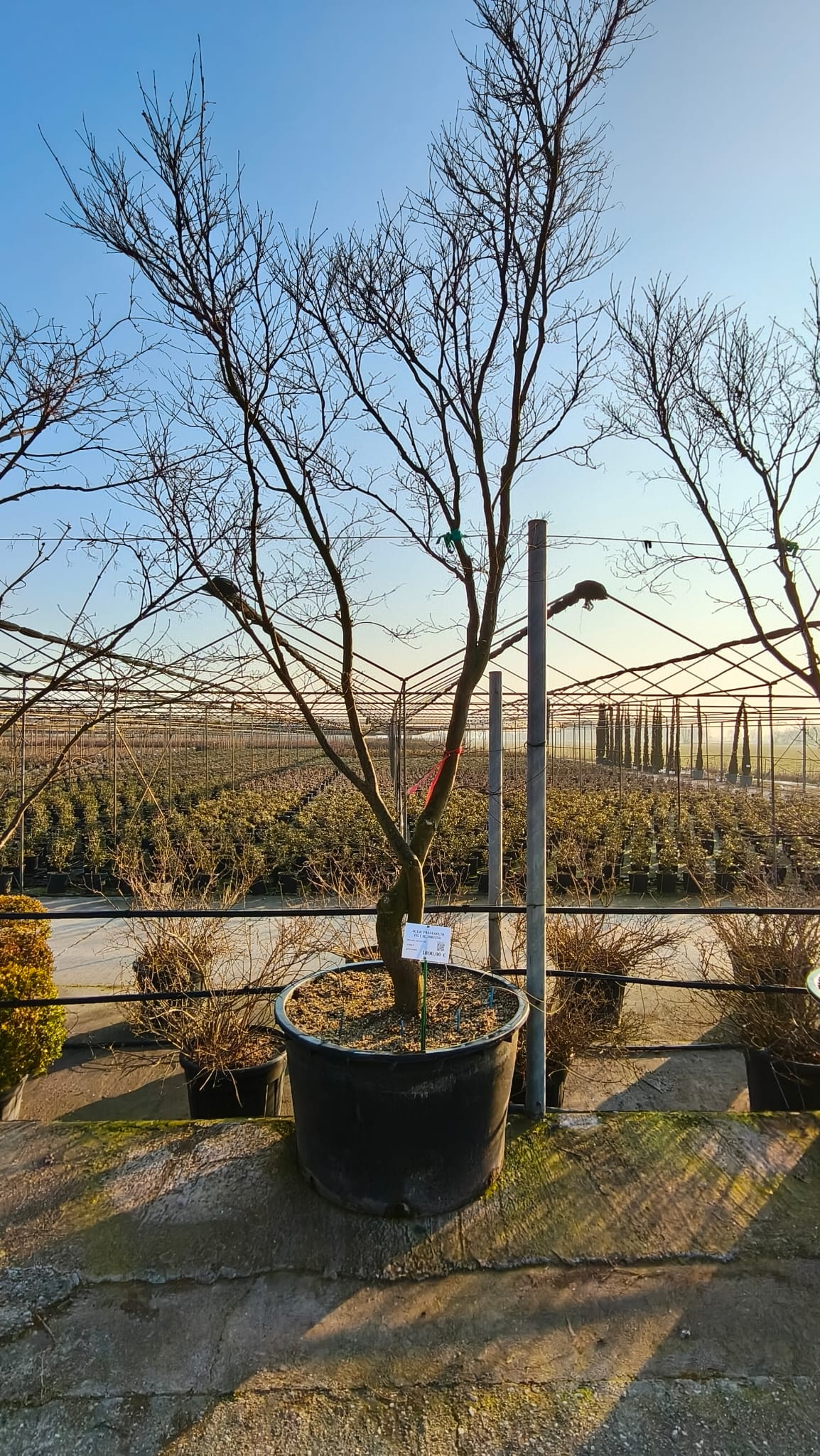 ACER.PA_.FG_.VC4_4991