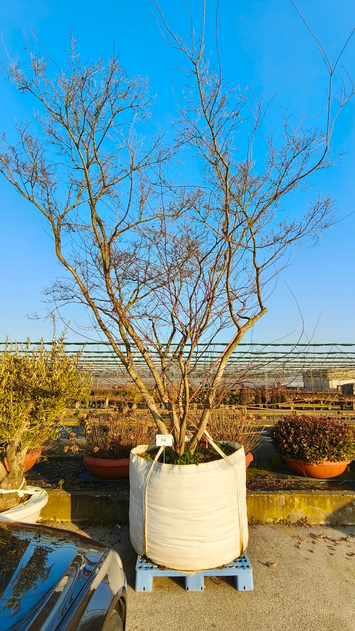 ACER.PA_.PO_.54VAS_4959