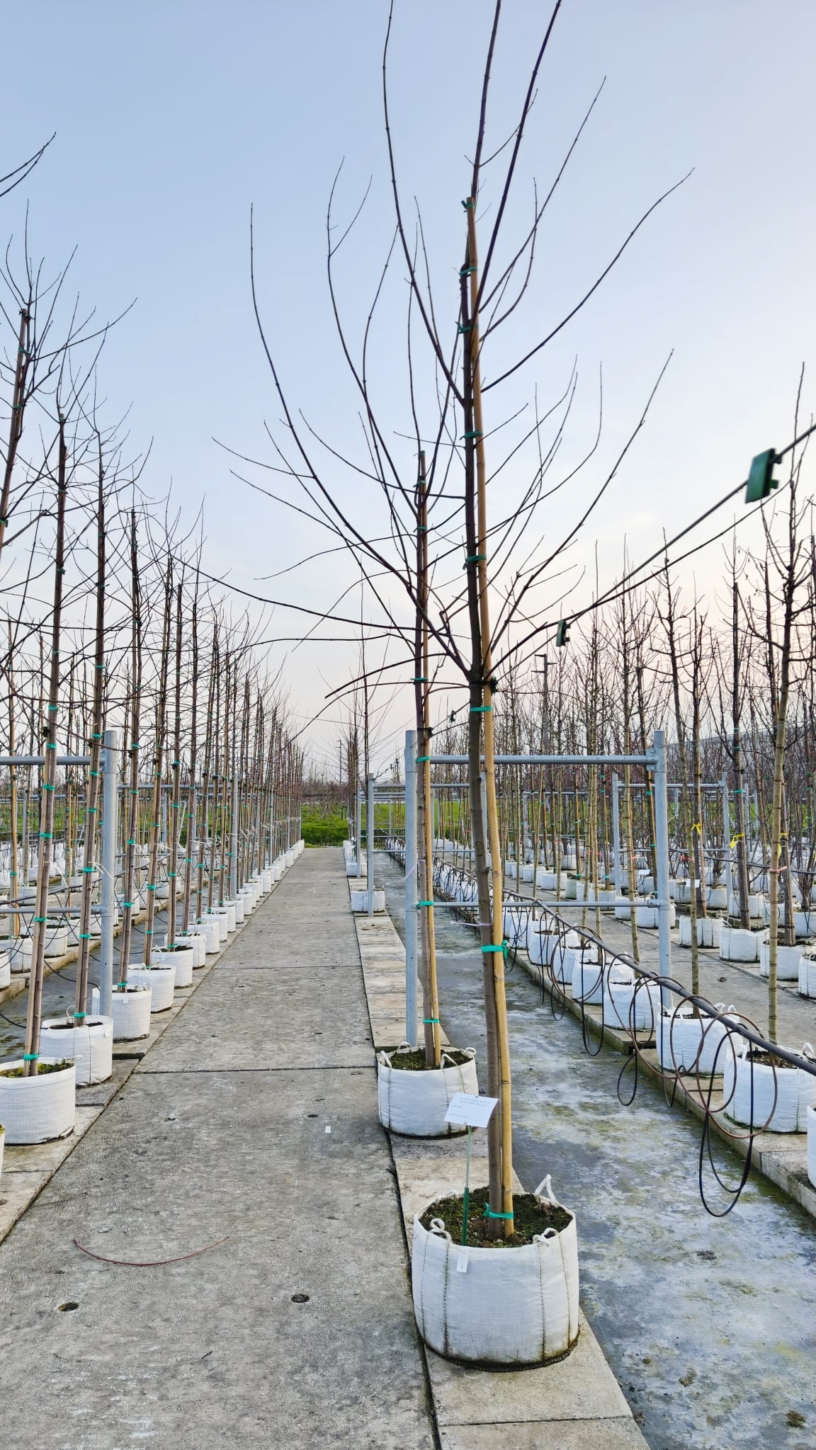 ACER.FM_.AB_.V2_5076