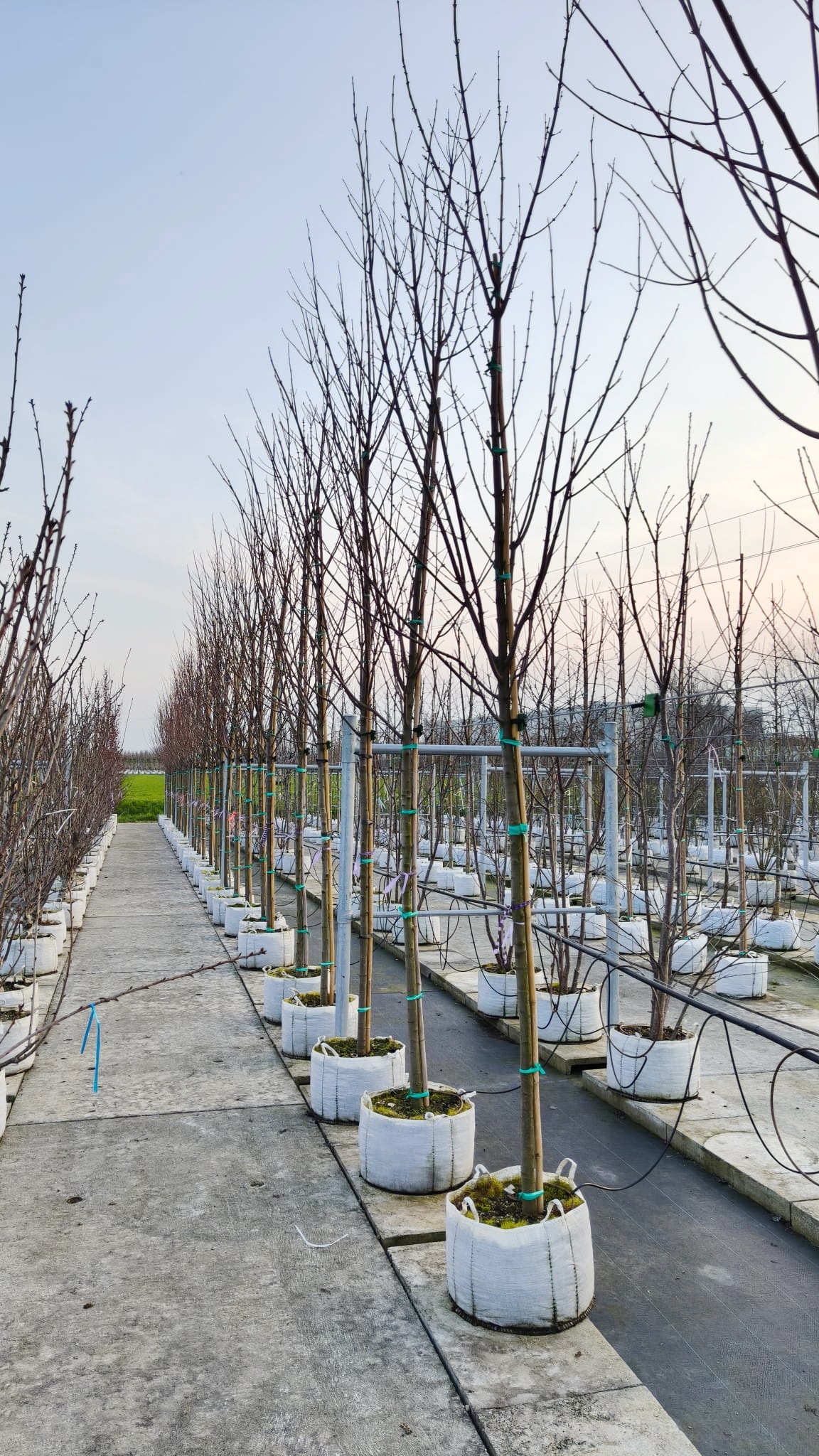 ACER.RU_.OG_.V3_5075