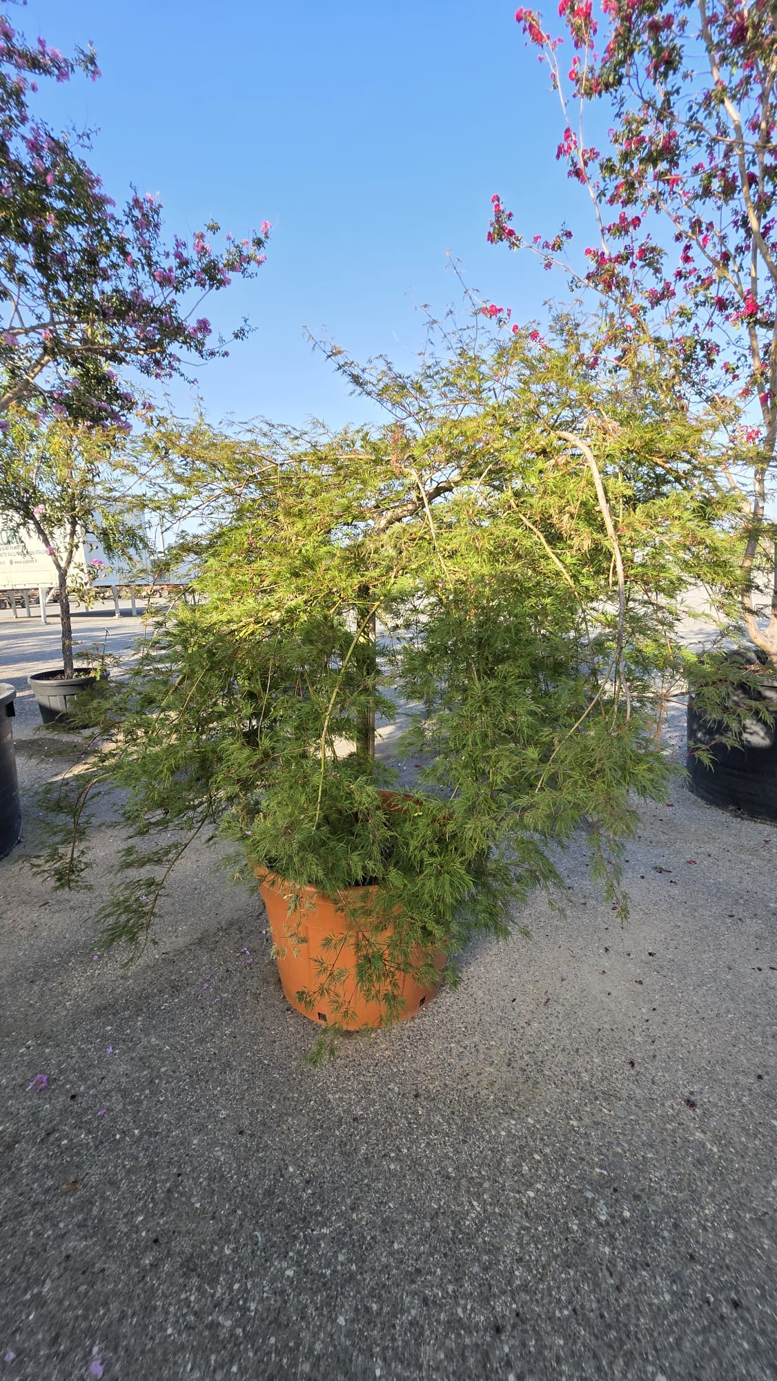 ACER.DI_.EL_.V5_5291-5